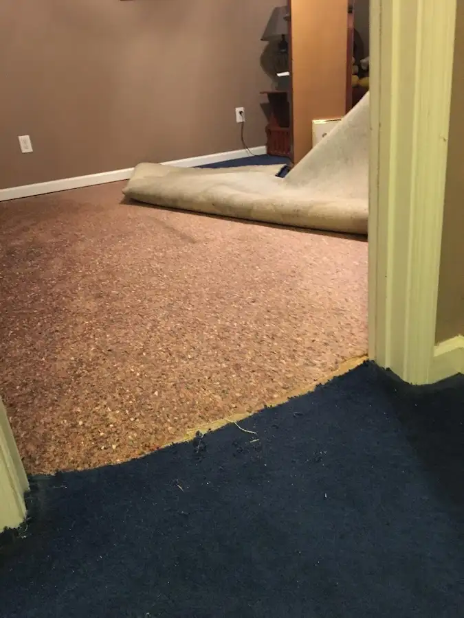 Carpet pad removal revealing water damage during Drying & Dehumidification in Wilna