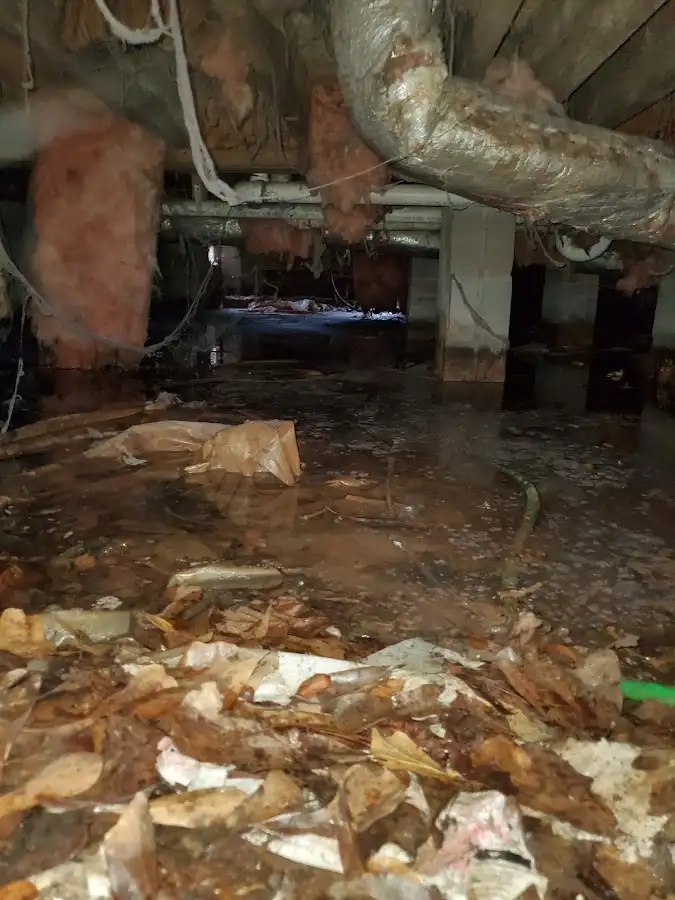 Crawl space flood assessment for Leak Detection & Repair in Wilna