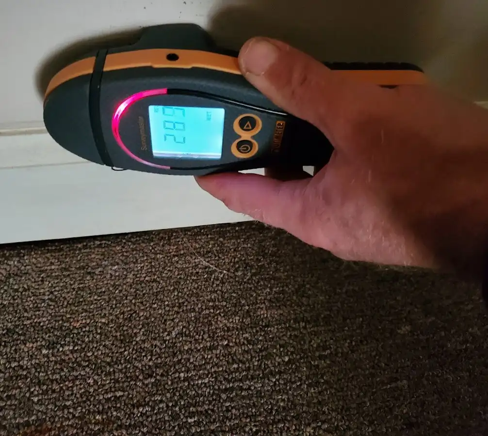 Moisture detection at baseboard during Mold Inspection & Testing in Wilna